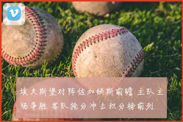 埃夫斯堡对阵佐加顿斯前瞻 主队主场争胜 客队抢分冲击积分榜前列